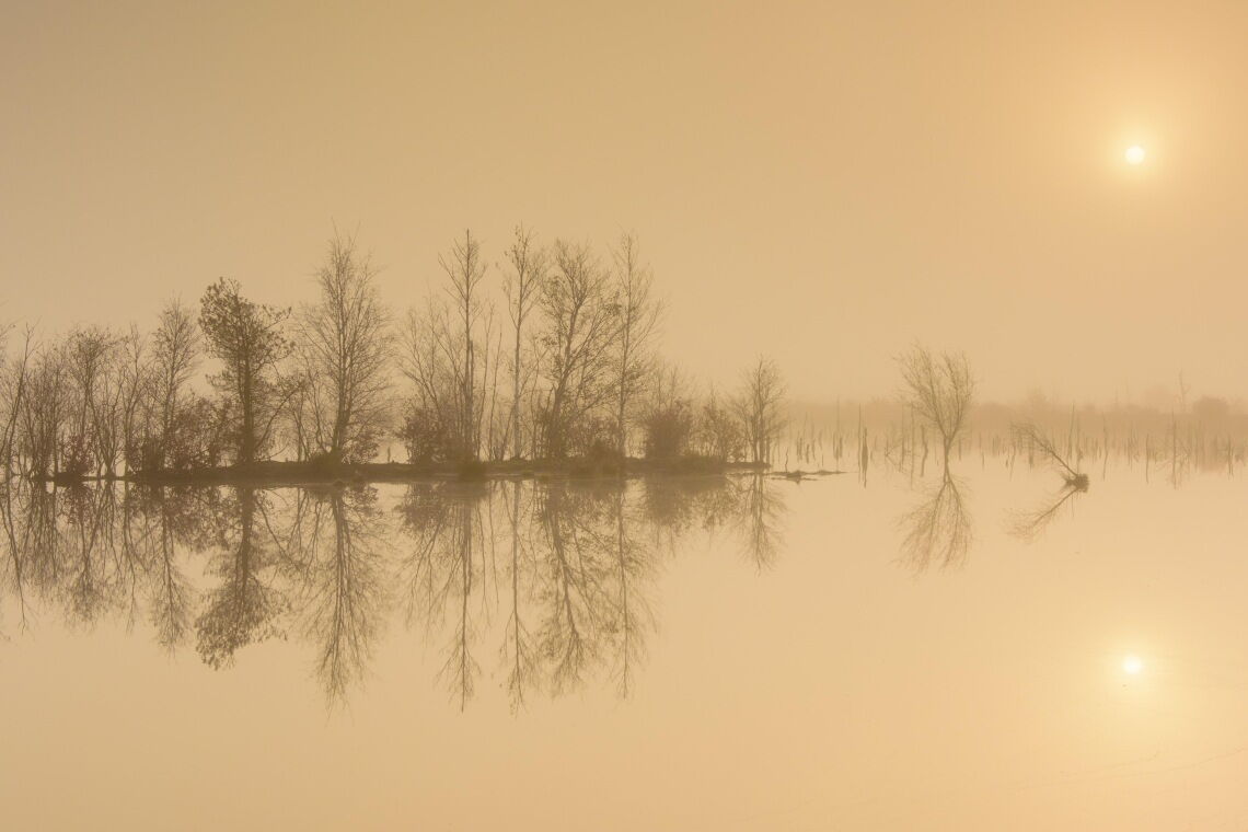 Moorlandschaft in Niedersachsen: Feuchtgebiete sind eine Quelle für Methan, das in die Atmosphäre gelangt.