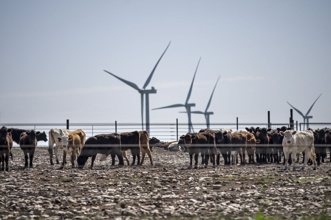 Windpark in Texas: Auch in republikanisch dominierten US-Bundesstaaten boomen die erneuerbaren Energien.