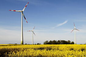 Bürgerbeteiligung an Windparks in Mecklenburg-Vorpommern: Windräder des Windparks in Schönberg werden durch neue Anlagen ersetzt.