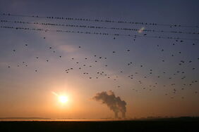 Windräder neben dem Kohlekraftwerk Mehrum in Niedersachsen: Jeder Euro, der in erneuerbare Energien fließt, trägt dazu bei, die Kosten des Klimawandels zu verringern.