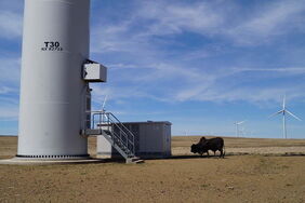 Windenergie in Südafrika: 40 Nordex-Anlagen stehen auf dem Gelände der Dorper Wind Farm in der Provinz Eastern Cape.