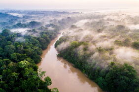 Der Yasuni-Nationalpark in Ecuador ist ein einzigartiges Paradies für Tier- und Pflanzenarten. Doch in dem Gebiet wurde Erdöl gefunden. Die Förderung bedroht die Biodiversität.