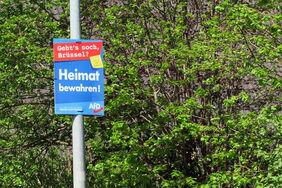 "Heimat bewahren", steht auf einem Wahlplakat der AfD: Die Partei spielt gezielt Klimaschutz und Naturschutz gegeneinander aus.