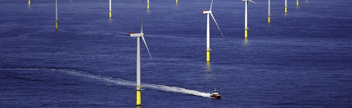 Fischerei ist in deutschen Offshore-Windparks verboten. Davon profitieren Arten wie der Kabeljau und der Taschenkrebs.