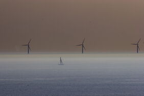 Offshore-Windpark im Großen Belt: Deutschland kann bei der Energiewende viel von Dänemark lernen.
