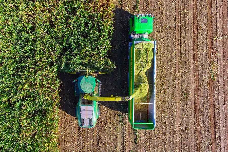 Ein Großteil der Maisernte landet in Biogasanlagen. Hilft das dem Klima - oder schadet es der Umwelt?