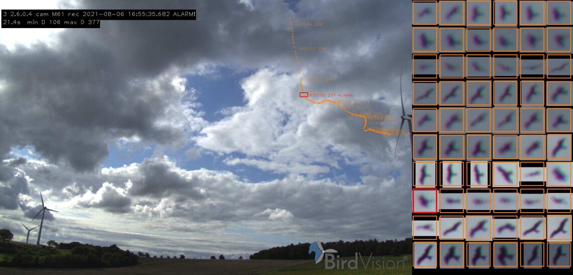 BirdVision: Das Überwachungssystem erkennt den Flug gefährdeter Vögel (hier: Rotmilan) und schaltet das Windrad bei Kollisionsgefahr rechtzeitig in den Trudelbetrieb.