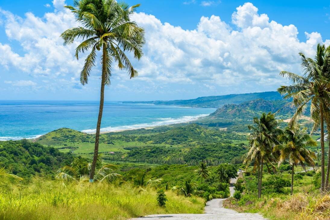 Der Karibikstaat Barbados erwägt einen Einstieg in die Offshore-Windenergie.