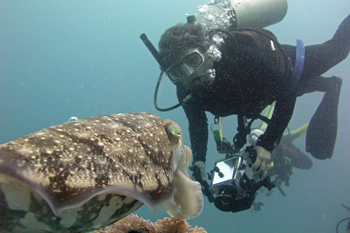 Der Meeresbiologe und Biochemiker Tom Goreau baut künstliche Riffe, die er unter Strom setzt, um das Wachstum von Korallen zu fördern. Foto: Rani Morrow-Wuigk
