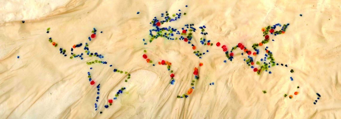 Ausschnitt aus „The Atlas of Dissapearing Places“ – „Atlas der verschwindenden Orte“ von Christina Conklin und Marina Psaros.